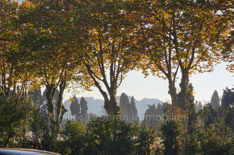 Mas - 380 m² - 9 pièces