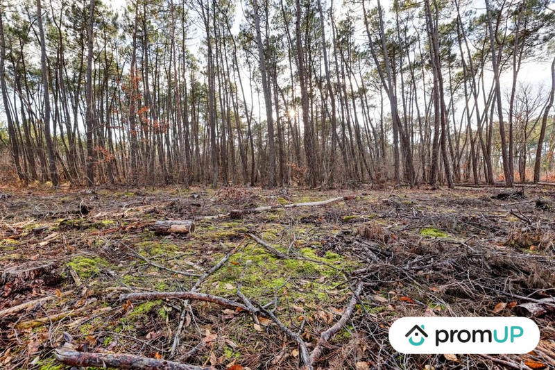 Terrain de loisirs - 1 570 m²