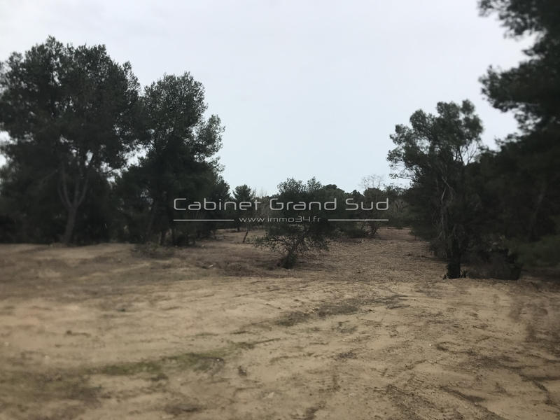 Terrain agricole - 80 839 m²