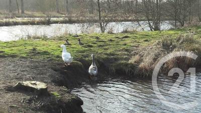 Terrain de loisirs - 16 361 m²