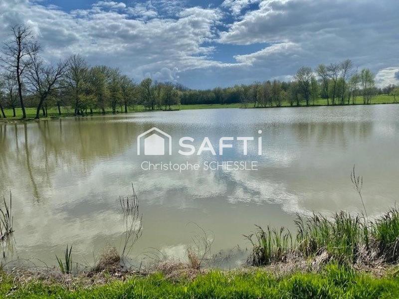 Terrain - 29 430 m²