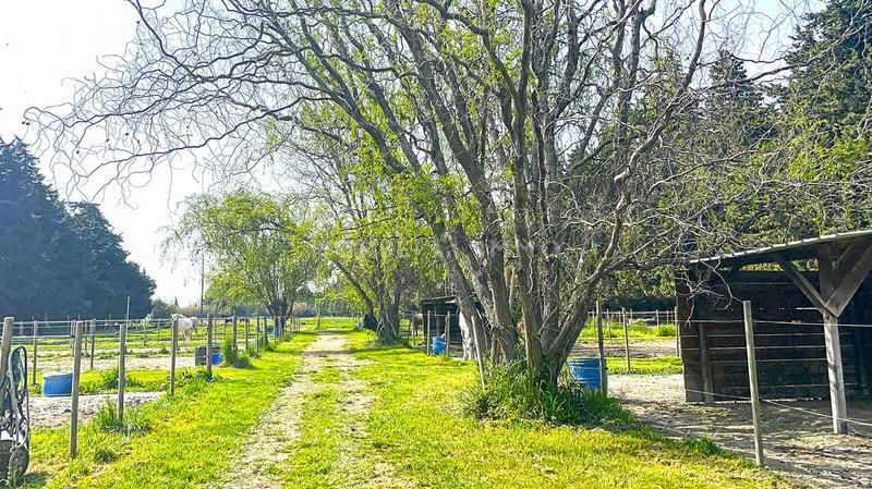 Maison - 260 m² - 11 pièces