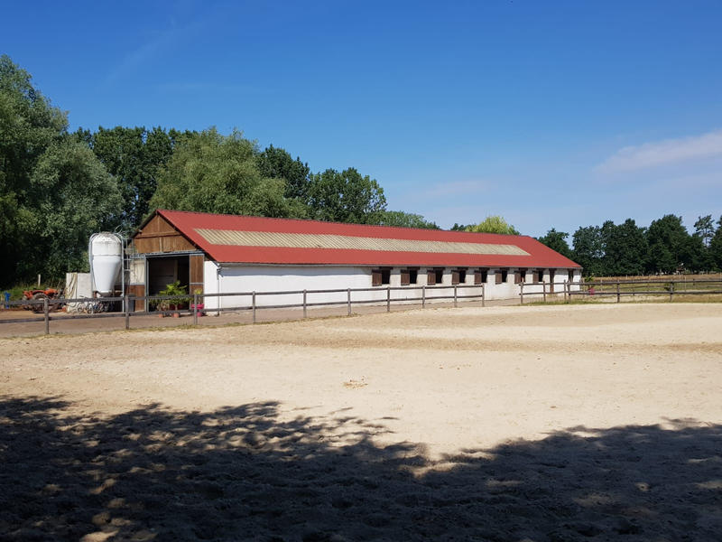 Maison - 300 m² - 8 pièces