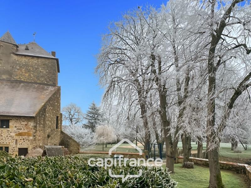 Château - 350 m² - 5 pièces