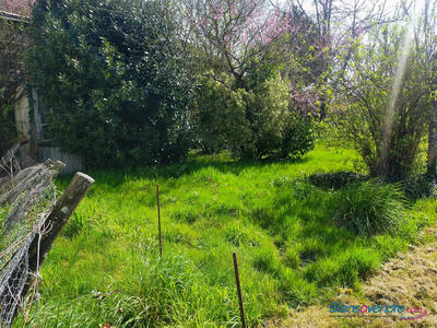 Terrain - 10 679 m²