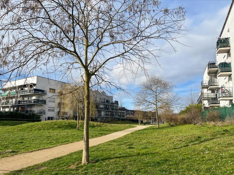 Studio - 24 m² - 1 pièce