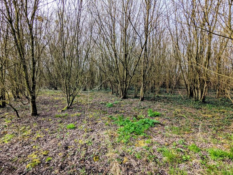 Terrain agricole - 11 983 m²