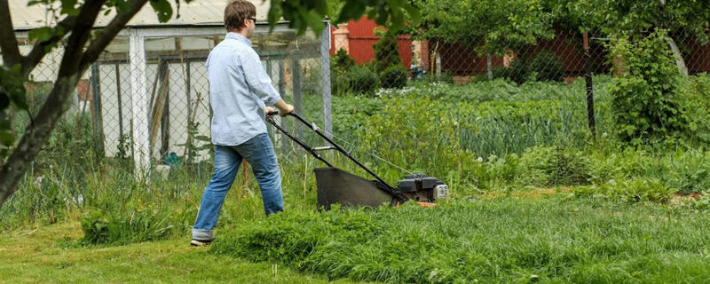 Delorme Elagage (Roger)