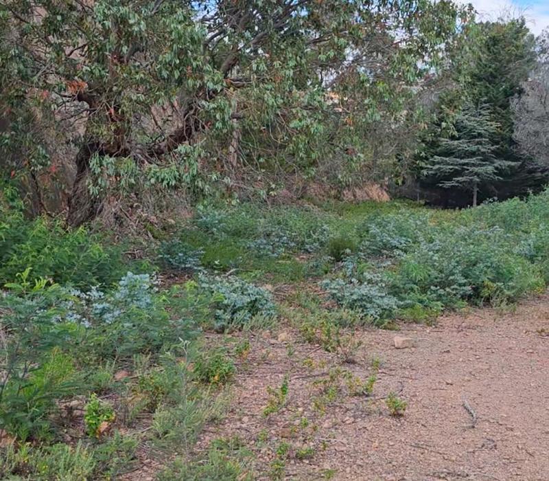 Terrain constructible - 21 850 m²