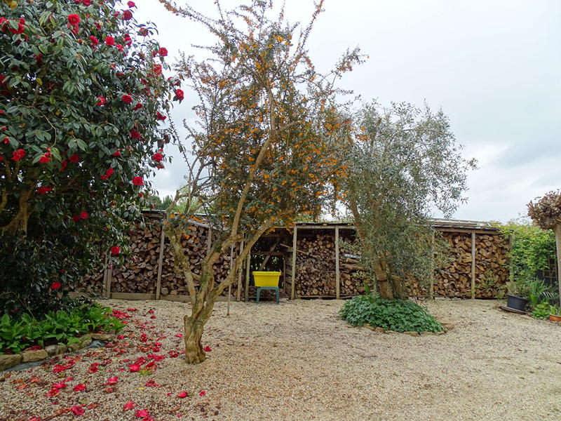 Maison - 175 m² - 10 pièces