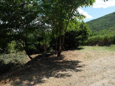 Terrain - 1 392 m²