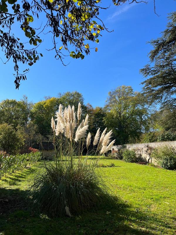 Maison - 260 m² - 11 pièces