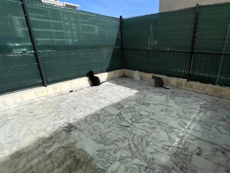 Appartement - 45 m² - 3 pièces