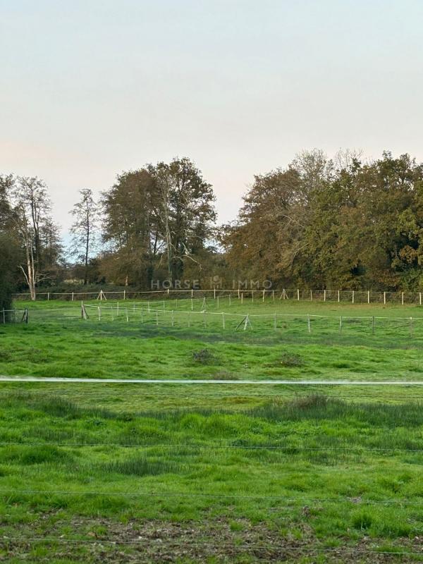 Gîte - 191 m² - 7 pièces