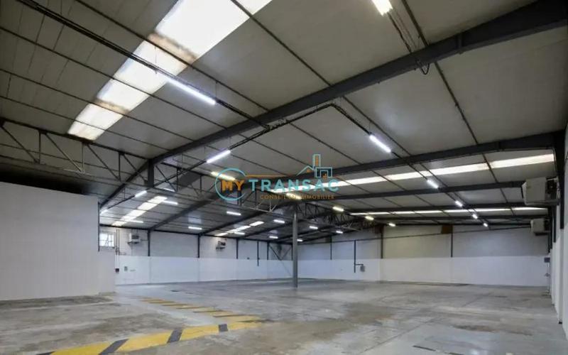 Local d'activité / Entrepôt - 2 380 m²