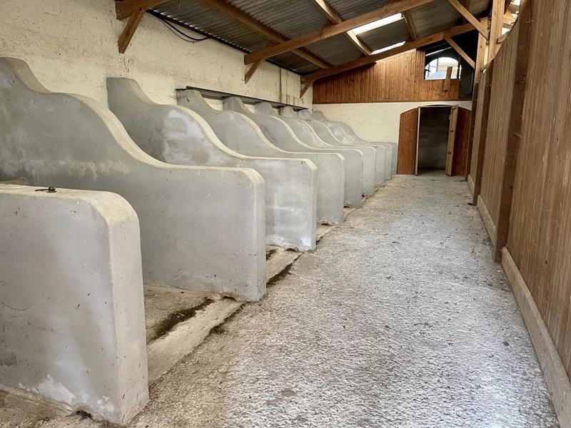 Maison de domaine équestre - 415 m²