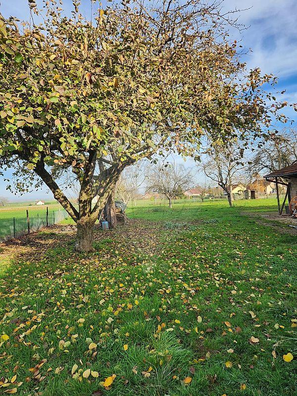 Longère - 153 m² - 6 pièces