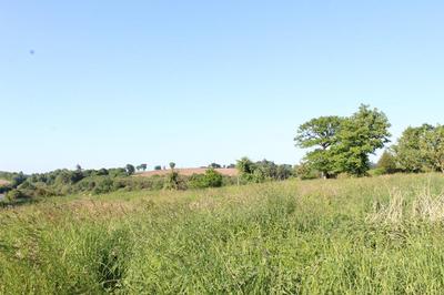 Corps de ferme - 60 m² - 4 pièces