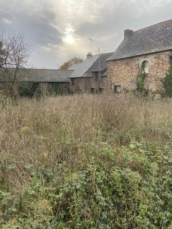 Maison ancienne - 50 m² - 1 pièce