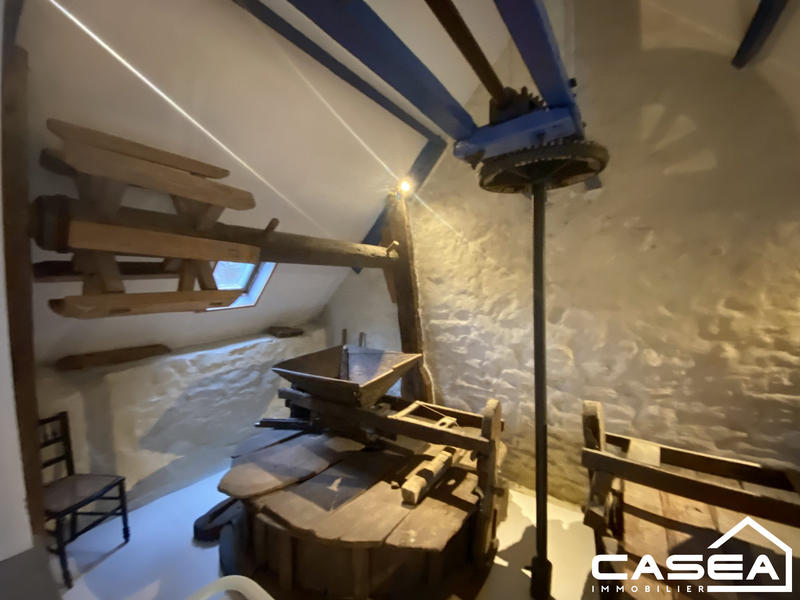 Maison ancienne - 300 m² - 15 pièces