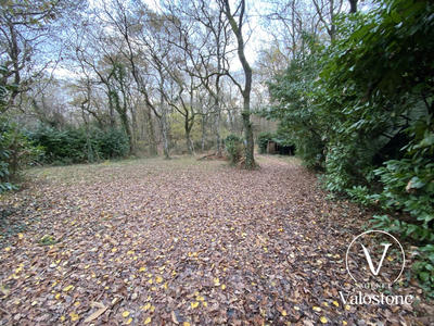 Terrain de loisirs - 60 770 m²