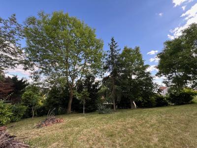Terrain - 1 579 m²