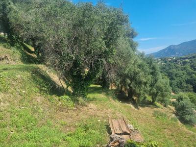 Terrain constructible - 858 m²