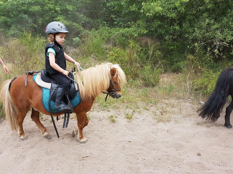 La forêt à poney !
