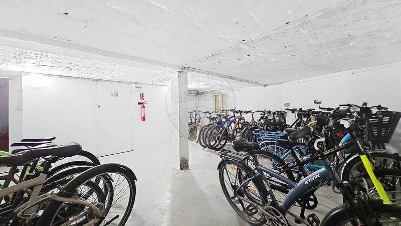 Studio - 38 m² - 1 pièce