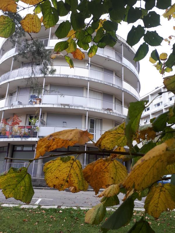 Studio - 25 m² - 1 pièce