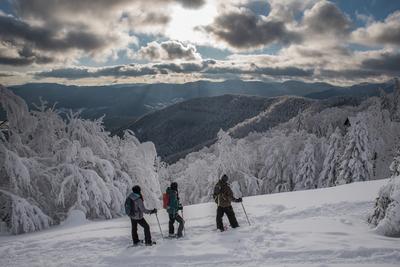 Balade en raquettes à neige au Markstein