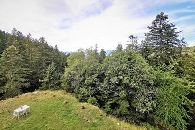 Appartement - 25 m²