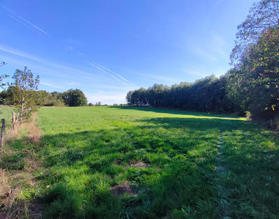 Terrain - 550 000 m²