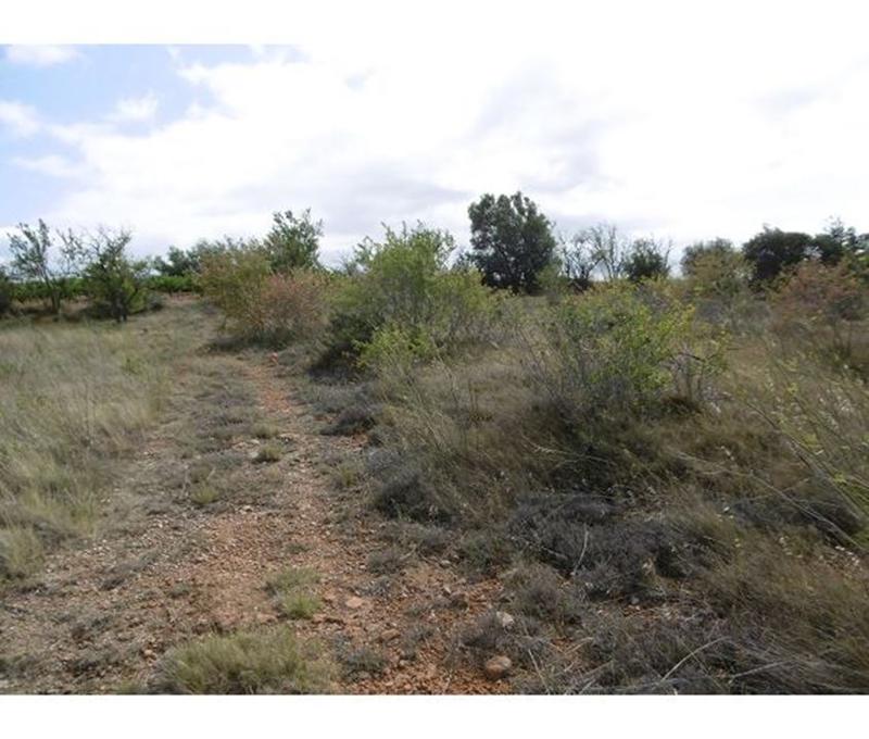 Terrain - 20 027 m²