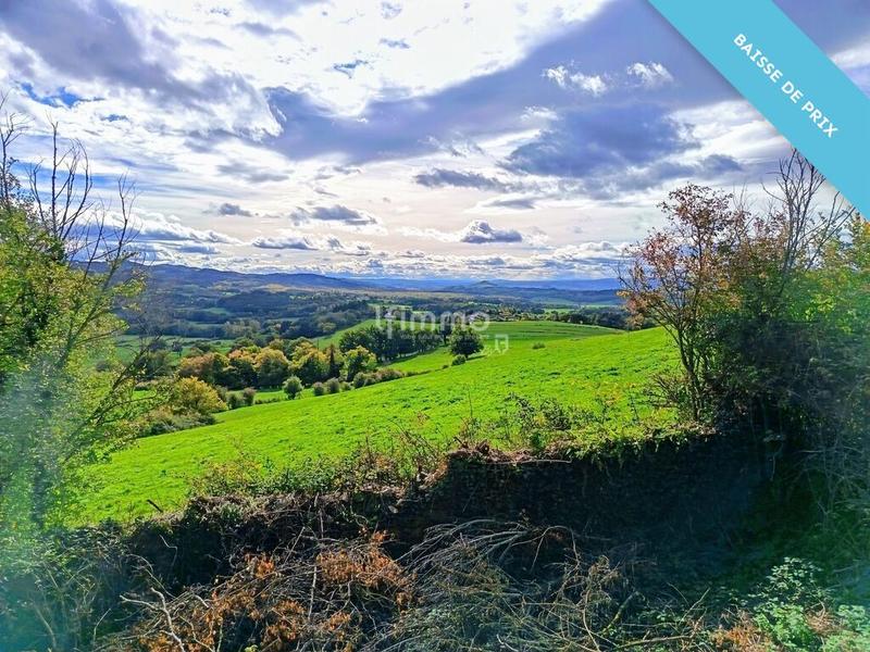 Propriété - 312 m² - 11 pièces