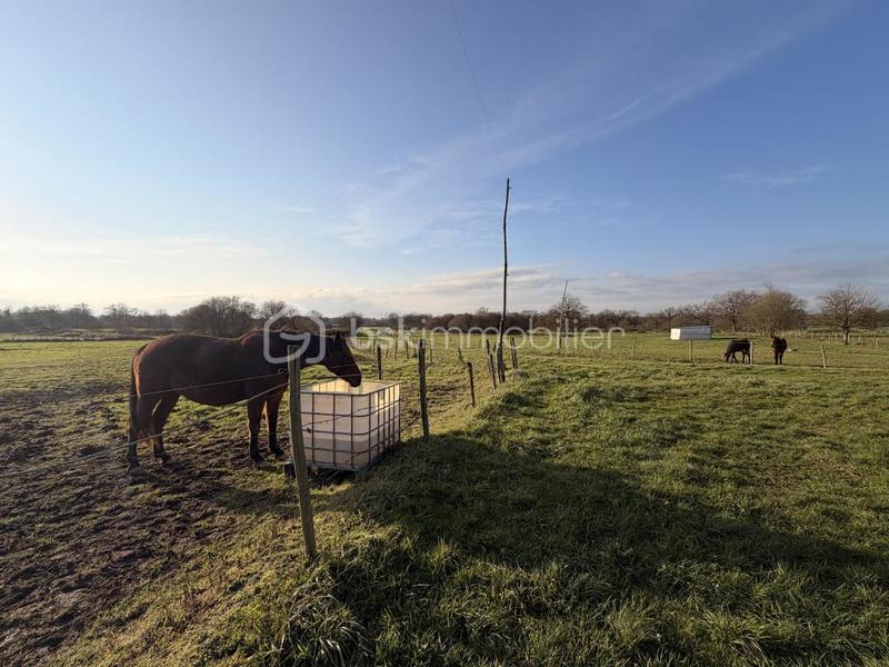 Maison de domaine équestre - 155 m² - 7 pièces