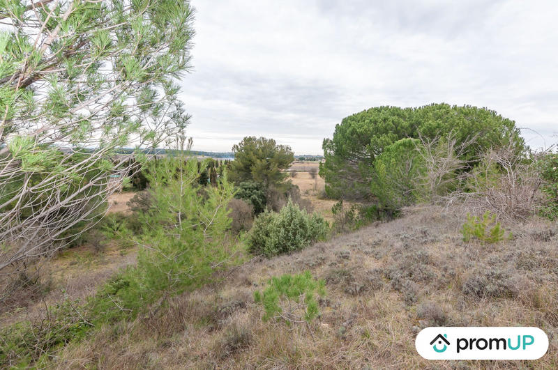 Terrain agricole - 10 601 m²