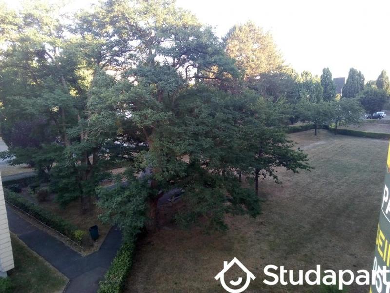 Chambre - 9 m² - 1 pièce