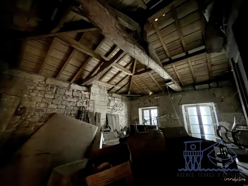 Maison ancienne - 319 m² - 10 pièces