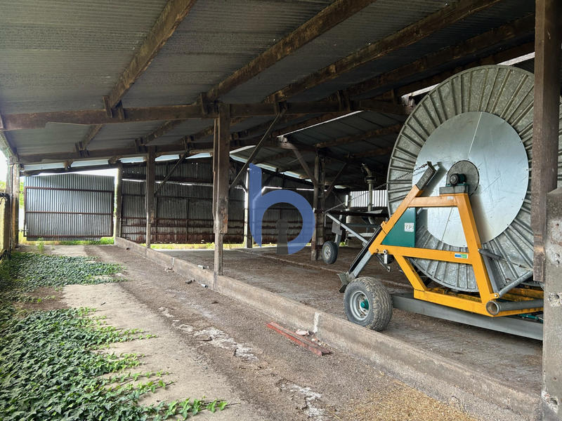 Terrain agricole - 10 000 m²