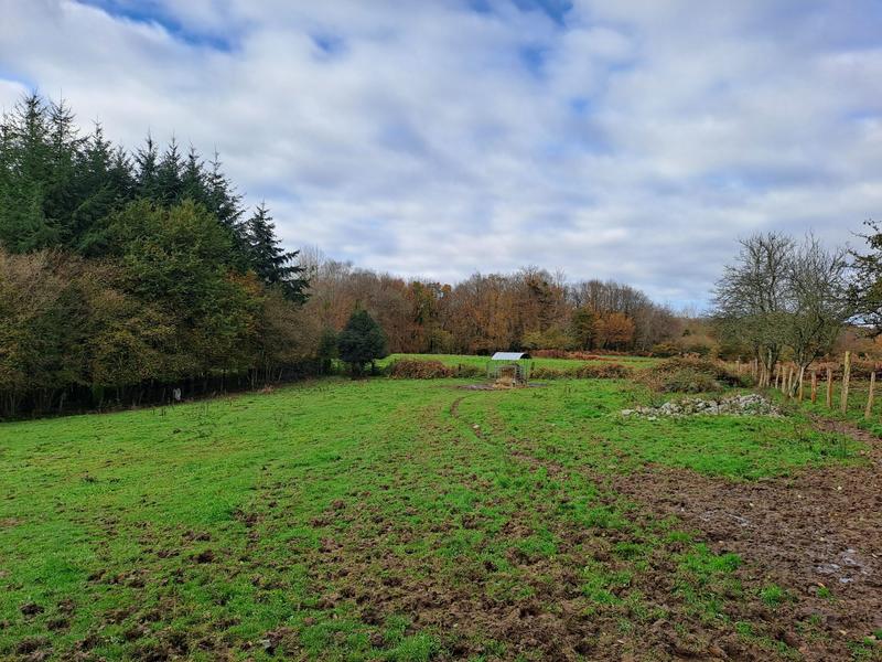 Maison ancienne - 160 m² - 6 pièces