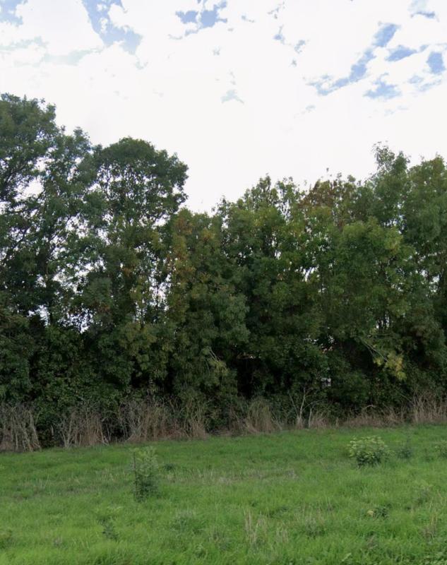 Terrain constructible - 306 m²