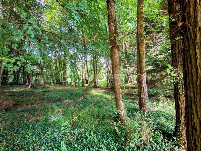 Pavillon - 416 m² - 11 pièces