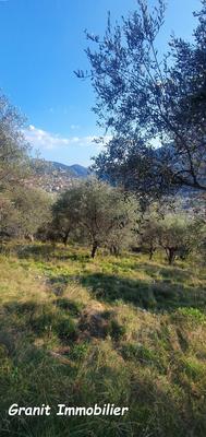 Terrain constructible - 1 503 m²