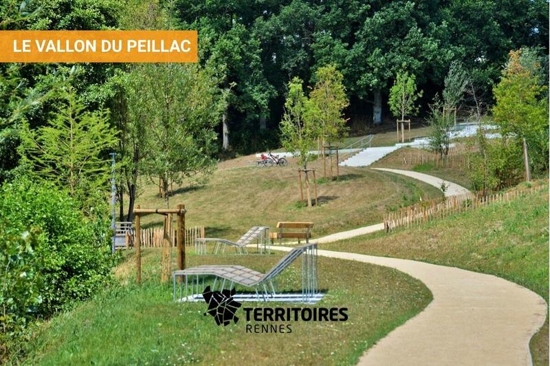 Terrain constructible - 264 m²