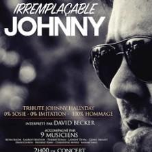 David Becker - Irremplaçable Johnny