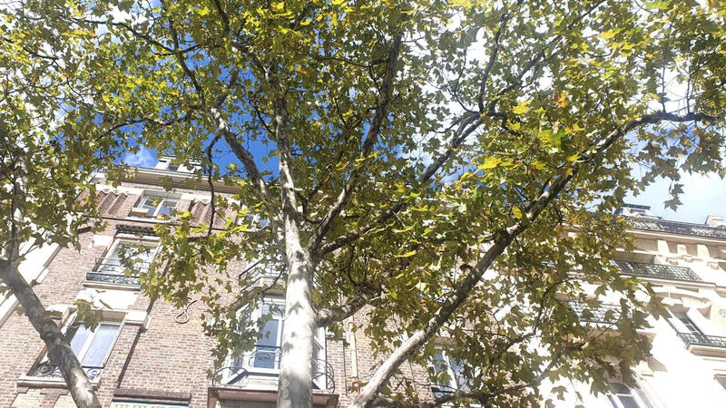 Appartement - 11 m² - 1 pièce