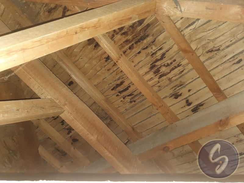 Maison - 118 m² - 4 pièces