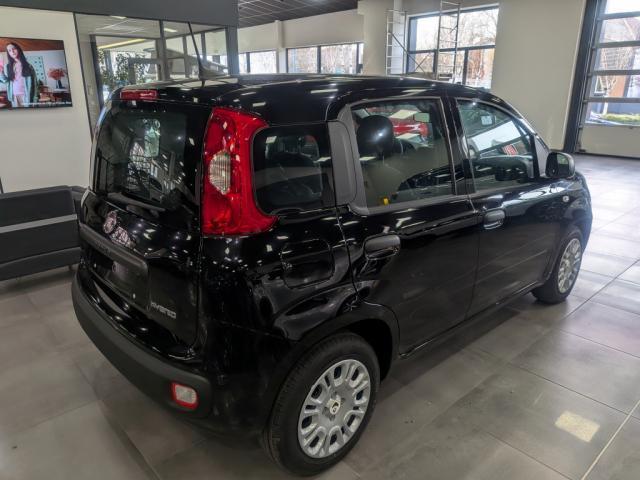 Fiat Panda 1.0 70 ch Hybrid Bsg s/S City