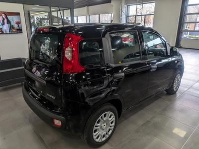Fiat Panda 1.0 70 ch Hybrid Bsg s/S City